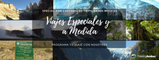 agencia de viajes nunoa Trekking Andino